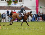 STAUT ESTOY AQUI LaBaule2013- S5 9791 : 2013, ESTOY AQUI, La Baule, STAUT KEVIN, foto di Stefano Secchi ©